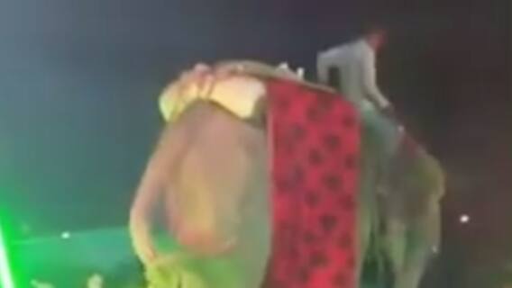 Prayagraj में शादी समारोह में हाथी का आतंक | Khabrein Tabadtod | 12 June