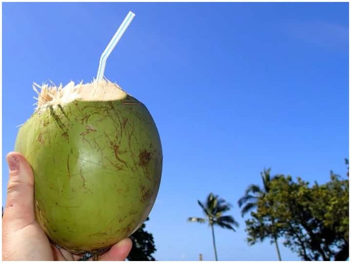 Coconut water is charismatic drink, know the importance of drinking at right time Coconut Water Benifits: चमत्कारिक ड्रिंक है नारियल पानी, जानिए इससे क्या-क्या फायदे होते हैं