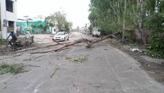 ਬਟਾਲਾ 'ਚ ਤੂਫਾਨ ਦਾ ਕਹਿਰ, ਦਰੱਖ਼ਤ ਡਿੱਗੇ ਤੇ ਬਿਜਲੀ ਸਪਲਾਈ ਠੱਪ