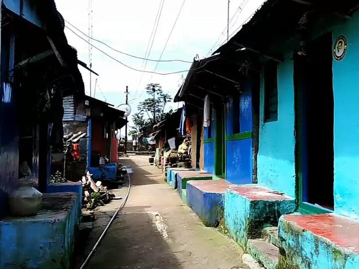 தலைவலி மாத்திரை கூட பார்க்காத வெள்ளகெவி கிராமம்; மூலிகைகளோடு வாழ்க்கை!