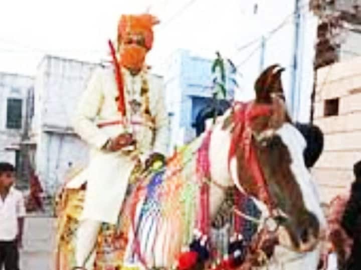 UP Dalit Youth's Dream Of Riding Horse On His Wedding Faces Minor Hurdle UP Dalit Youth's Dream Of Riding Horse On His Wedding Faces Minor Hurdle
