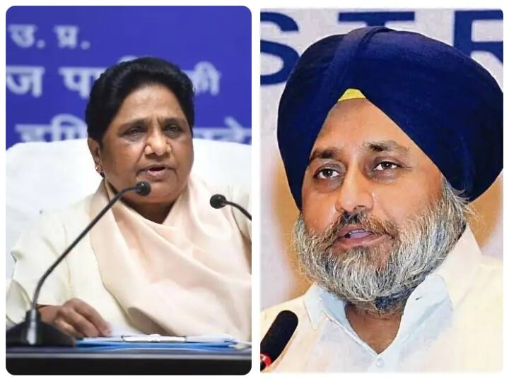 Punjab BSP chief Mayawati says Alliance of SAD and BSP is the new political and social beginning पंजाब में अकाली दल और बीएसपी साथ लड़ेगी चुनाव, जानें- गठबंधन के बाद क्या बोलीं मायावती