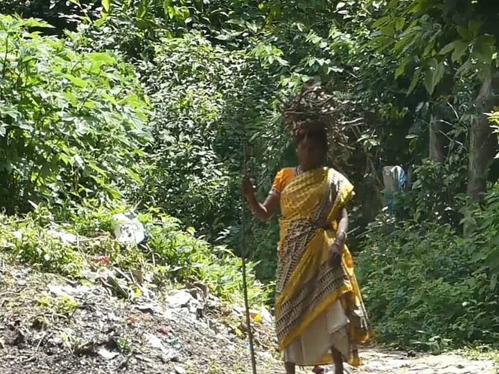 தலைவலி மாத்திரை கூட பார்க்காத வெள்ளகெவி கிராமம்; மூலிகைகளோடு வாழ்க்கை!