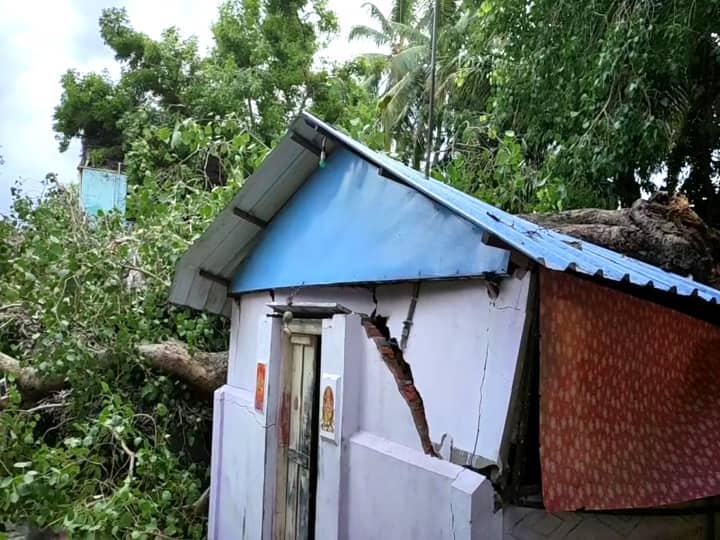 Damage to houses by falling tree மயிலாடுதுறை : நூற்றாண்டு பழமைவாய்ந்த அரசமரம் விழுந்து 4 வீடுகள் சேதம் : 4 பேருக்கு காயம்..!