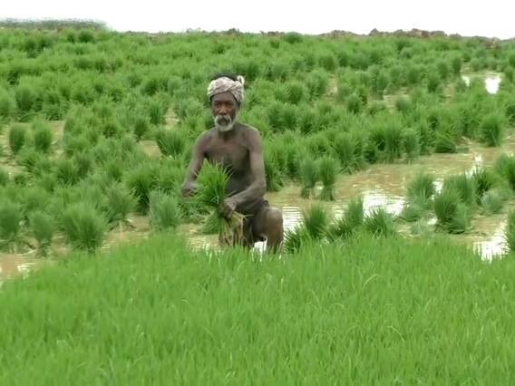 Fertilizer Subsidy: નવા વર્ષ પર મોદી સરકારની ખેડૂતોને ભેટ, હવે ખાતર પર મળશે વધુ સબસિડી Fertilizer Subsidy: નવા વર્ષ પર મોદી સરકારની ખેડૂતોને ભેટ, હવે ખાતર પર મળશે વધુ સબસિડી