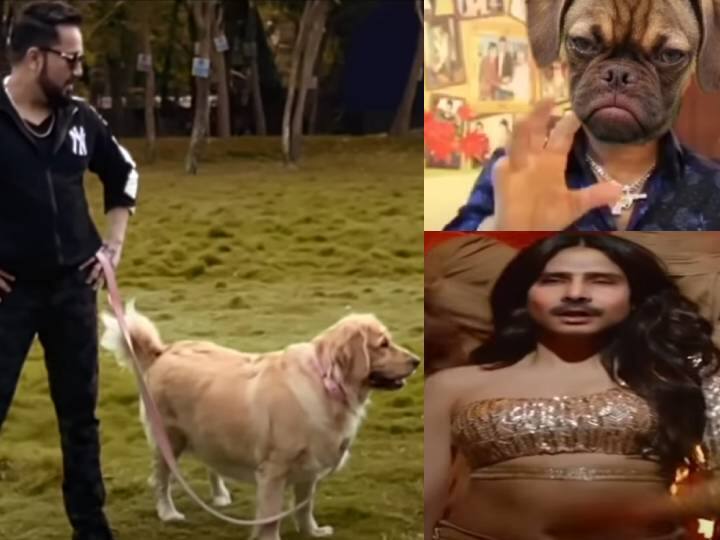 KRK warns Mika Singh after watching Krk kutta song