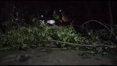 ਬਟਾਲਾ 'ਚ ਤੂਫਾਨ ਦਾ ਕਹਿਰ, ਦਰੱਖ਼ਤ ਡਿੱਗੇ ਤੇ ਬਿਜਲੀ ਸਪਲਾਈ ਠੱਪ