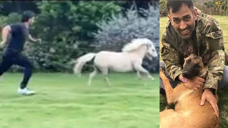 Mahendra Singh Dhoni running with his pet horse, video posted by wife Sakshi went viral MSD Viral Video: ঘোড়ার সঙ্গে পাল্লা দিয়ে দৌড় ধোনির, ভাইরাল ভিডিও