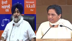 Politics : पंजाबमध्ये अकाली दल आणि बसपा एकत्र येणार