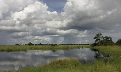 UP Mulls To Develop Wetlands As Tourist Spots UP Mulls To Develop Wetlands As Tourist Spots