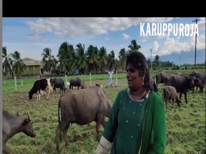 Vijay Tv anchor and Biggboss contenstant Aranthangi Nisha posts video of cow grazing புதிய வேலையில் களமிறங்கிய பிக்பாஸ் நிஷா : வைரலாகும் இன்ஸ்டா ஸ்டோரீஸ்..!