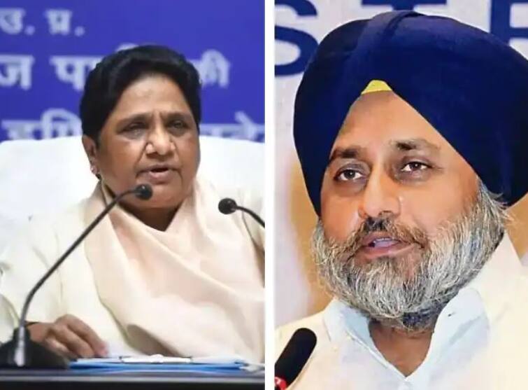 punjab bsp chief mayawati says alliance of sad and bsp is the new political and social beginning  પંજાબમાં અકાળી દળ અને BSP સાથે લડશે ચૂંટણી, જાણો ગઠબંધન બાદ શું કહ્યું માયાવતીએ ?