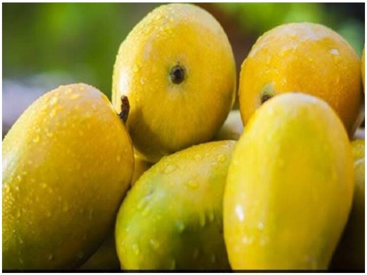 Mango Benefits: सिर्फ जायके के लिए नहीं बल्कि इन चार वजहों से खाएं आम, जानें फायदे Not only for taste but due to these four reasons consume mango, here are benefits Mango Benefits: सिर्फ जायके के लिए नहीं बल्कि इन चार वजहों से खाएं आम, जानें फायदे