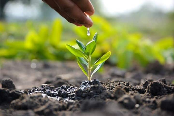 Uttar Pradesh Government Hold Massive Plantation Drive; Plant 25.5 crore Saplings In A Day Uttar Pradesh Government Hold Massive Plantation Drive; Plant 25.5 crore Saplings In A Day