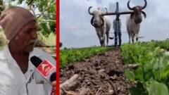 ગીર સોમનાથમાં તૌકતેના સંકટના 25 દિવસ બાદ પણ વીજળી ન મળતા ખેડૂતો મુકાયા મુશ્કેલીમાં