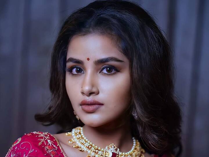 அனுபமா மலையாளம், தெலுங்கு, தமிழ் மற்றும் கன்னடம் ஆகிய மொழிகளில் நடித்து வருகிறார்.