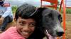 Sangli Helper Dog : अवघ्या 4 महिन्यांच्या 'रॉकी'ची कमाल राखण करण्यासोबत करतो शेतीचीही कामं