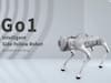 GO1 ROBO DOG | பல்டி அடிக்கும், செல்ல ரோபோ நாய் ! விலை எவ்வளவு தெரியுமா?
