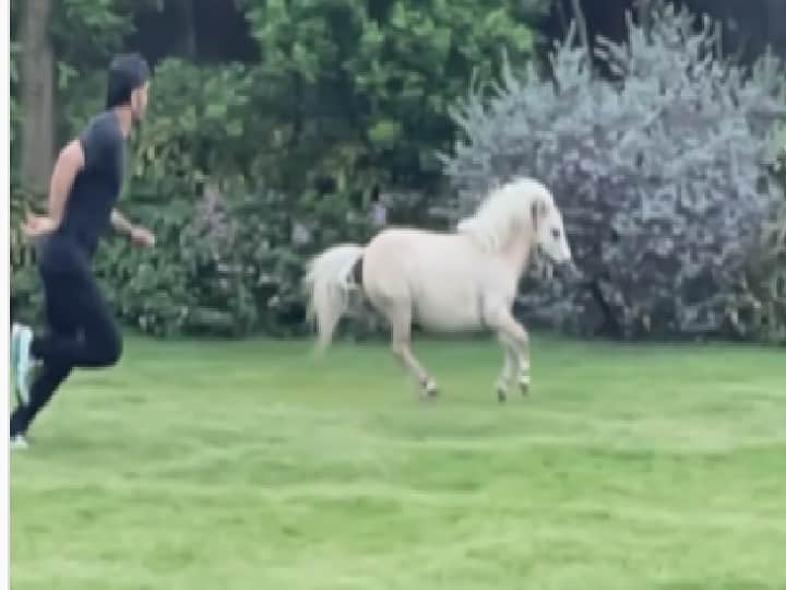 MS Dhoni was seen racing with a horse, wife Sakshi shared video Dhoni Video: घोड़े के साथ रेस लगाते नजर आए एमएस धोनी, पत्नी साक्षी ने वीडियो शेयर कर कही ये बात