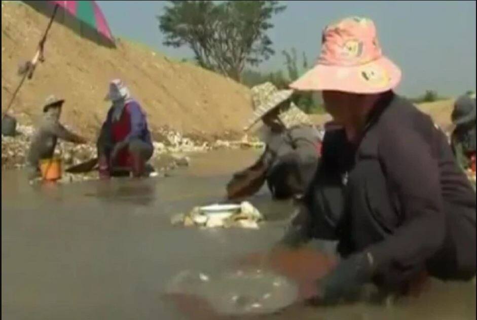 Gold River in Thailand. Gold flows with water in river, people carry it in bags ਇਸ ਨਦੀ 'ਚ ਪਾਣੀ ਨਾਲ ਵਹਿੰਦਾ ਸੋਨਾ, ਬੈਗ 'ਚ ਭਰ-ਭਰ ਘਰ ਲੈ ਜਾਂਦੇ ਲੋਕ