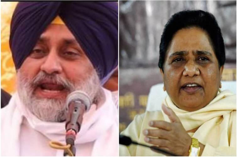 Alliance of millionaires; what Maya and Sukhbir Badal know 'poverty' is: Kanshi Ram's sister ਕਰੋੜਪਤੀਆਂ ਦਾ ਗੱਠਜੋੜ, ਮਾਇਆ ਤੇ ਸੁਖਬੀਰ ਬਾਦਲ ਨੂੰ ਕੀ ਪਤਾ, ਕੀ ਹੁੰਦੀ ਹੈ ‘ਗ਼ਰੀਬੀ’: ਕਾਂਸ਼ੀ ਰਾਮ ਦੀ ਭੈਣ