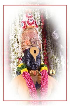 PHOTO: नमन विठुरायाला! चंदन उटी समाप्तीनिमित्त विठ्ठल-रुक्मिणी मंदिराला मोगरा, गुलाब पुष्पांची आकर्षक सजावट