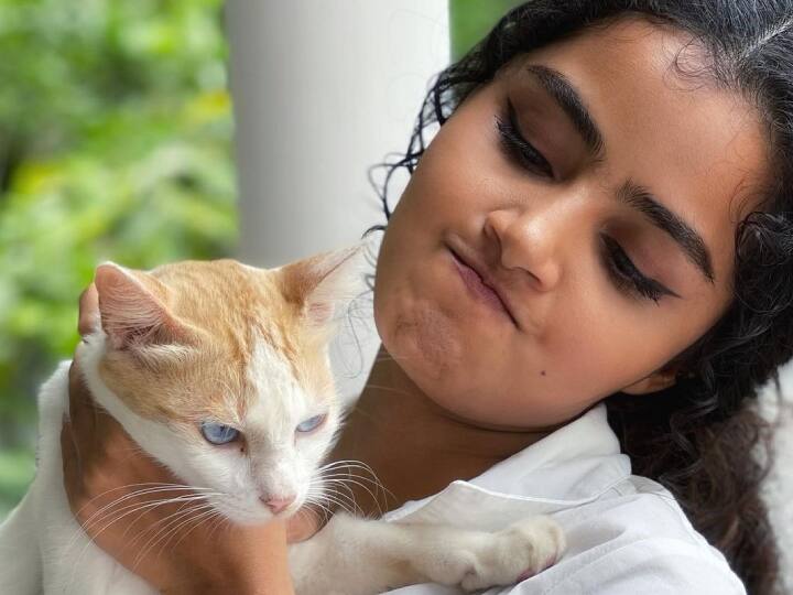 தனுஷ் நடிப்பில் வெளியான கொடி படத்தின் மூலம் தமிழில் அறிமுகமானவர் அனுபமா பரமேஸ்வரன்