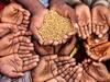 Uttar Pradesh Govt Set To Break Own Record For Wheat Procurement, Over 11.54 Lakh Farmers Benefitted