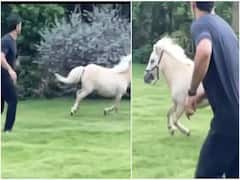 Video : शर्यत रे आपुली...! पाहा धोनी त्याच्या 'या' प्रतिस्पर्ध्यापुढं जिंकतो का