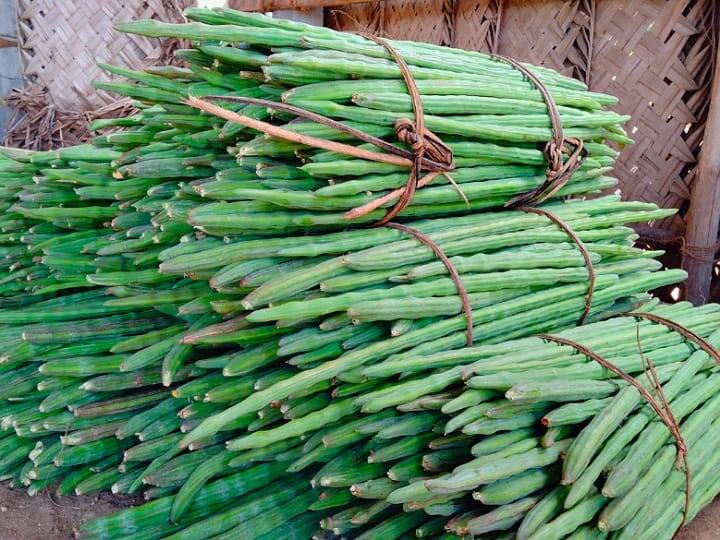 Farmers karur in  suffer due to lack of price for drumsticks கரூர் : தகுந்த விலை கிடைக்காததால் மரங்களில் கருகும் முருங்கை : அரவக்குறிச்சி விவசாயிகள் வேதனை..!