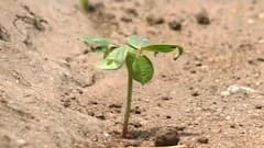 મોરબીના આ તાલુકામાં ખેડૂતો સિંચાઈના પાણી માટે મારી રહ્યાં છે ફાંફા,શુ કરી માંગ?