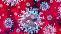 Bengal Corona Update: রাজ্যে একদিনে আক্রান্ত ৩,৯৮৪, সংক্রমণ-মৃত্যুতে শীর্ষে উত্তর ২৪ পরগনা