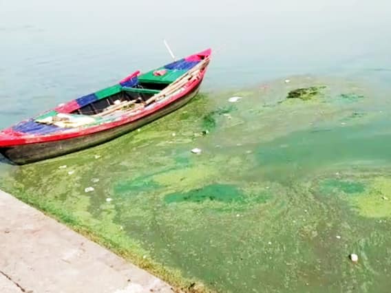 बक्सरः गंगा के पानी ने बढ़ाई चिंता, नहाने से भी डर रहे लोग; श्रद्धा के नाम पर छिड़क रहे जल बक्सरः गंगा के पानी ने बढ़ाई चिंता, नहाने से भी डर रहे लोग; श्रद्धा के नाम पर छिड़क रहे जल