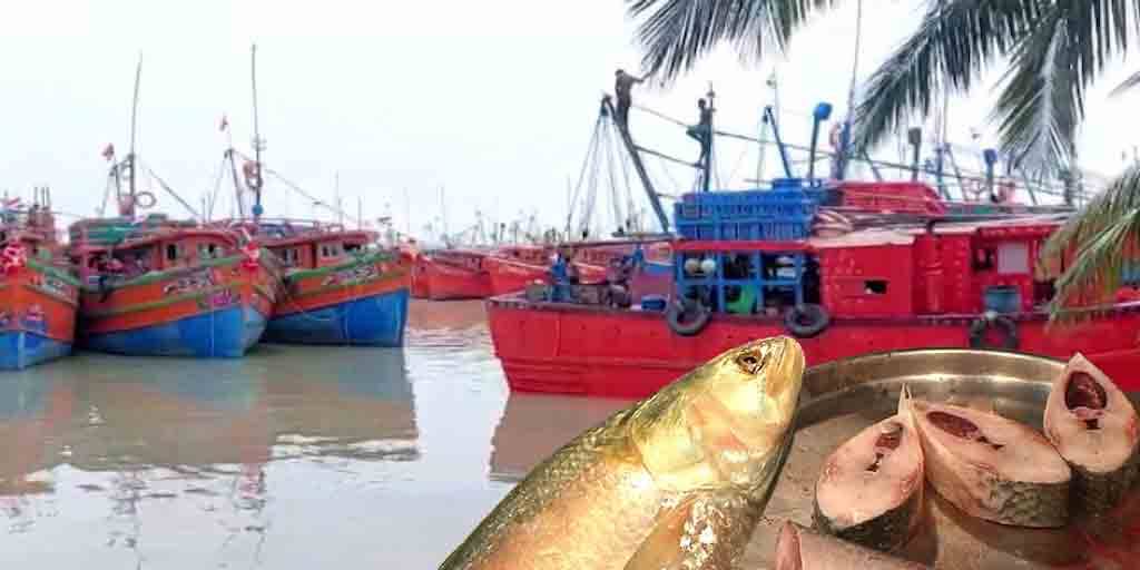 Digha: Fishermen are searching for the hilsa, exploring sea সোমবারই ইলিশের খোঁজে সমুদ্রে পাড়ি দিচ্ছে ট্রলার, ফিরবে জামাইষষ্ঠীর আগেই