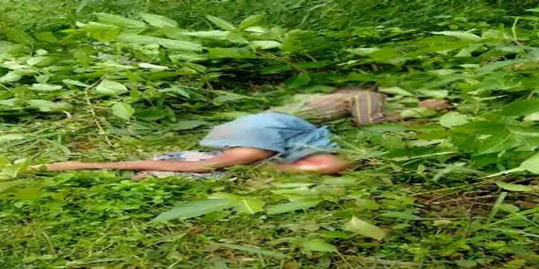 Elephant killed a villager in Jhargram, road blockade done in protest Elephant Killed Villager: ঝাড়গ্রামে গ্রামবাসীকে আছড়ে মারল দাঁতাল, প্রতিবাদে পথ অবরোধ