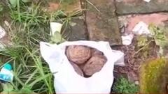 Bombs Recovered: কৈখালিতে আবাসনের পাশে পাঁচিলের ধারে উদ্ধার ১১টি বোমা