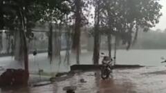 ગુજરાતના કયા કયા વિસ્તારોમાં રહેશે વરસાદી માહોલ, હવામાન વિભાગે શું કરી આગાહી?