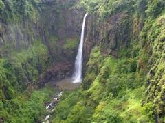 Video : निसर्गाच्या लीला अगाध; पाहा कधीही न दिसलेलं ठोसेघर धबधब्याचं रुप