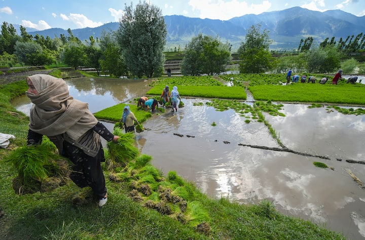 According to Sunday's tally Jammu and Kashmir recorded 866 fresh cases and 14 deaths in a day. The UT's caseload has climbed to 3,06,638 and the fatalities count has increased to 4,174. (Image Source: PTI)