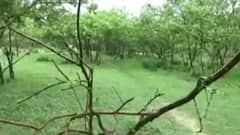 Top 20 evening news headlines of the day | 14 June 2021