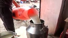 Lockdown Effect : दुधाचे दर कोसळले, दूध उत्पादकांचं 400 कोटींचं नुकसान : स्पेशल रिपोर्ट