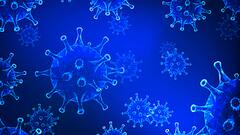 Corona के ग्राफ में लगातार गिरावट, पिछले 24 घंटे में 70 हजार 421 नए मामले | Badi khabar