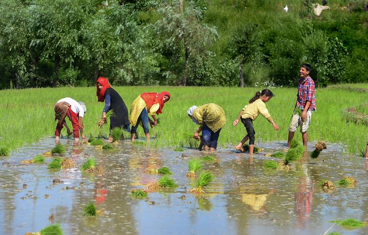The much awaited vaccination drive for people above 18 years of age in all 20 districts of Jammu and Kashmir UT started from Sunday, 13th June as J&K government sets on an ambitious plan to achieve 100% vaccination by end of the month. (Image Source: PTI)