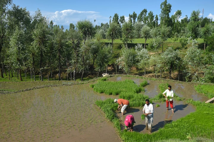 In the eight districts where restriction has been eased standalone shops, outdoor bazaars, shopping complexes would be permitted to open on all days (except Saturday and Sunday).(Image Source: PTI)
