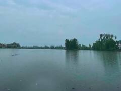 श्रीनगर: लोगों और प्रशासन की मदद से खुशालसर झील को मिली नई जिंदगी, पढ़ें पूरी खबर