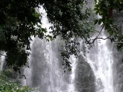 PHOTO : महाराष्ट्राच्या चेरापुंजीत आल्हाददायक वातावरण, आंबोलीचा मुख्य धबधबा प्रवाहित