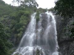 PHOTO : महाराष्ट्राच्या चेरापुंजीत आल्हाददायक वातावरण, आंबोलीचा मुख्य धबधबा प्रवाहित