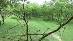 राम के नाम पर घोटाला किसने किया ? | फटाफट खबरें