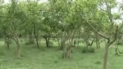 Top 100 news headlines of the day | 14 June 2021