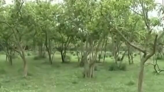 Top 100 news headlines of the day | 14 June 2021